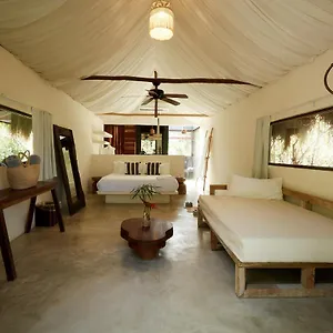 Roc Jungle **** Tulum Pueblo